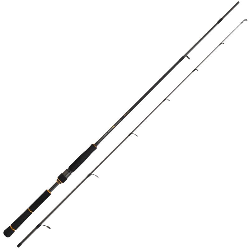 Canne Daiwa Black Gold Seabass – 2 / 8 / 111 / 7-28 / 213 / 116