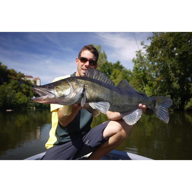 Guide Carnassier MIDI-PYRENEES Sylvain Garza